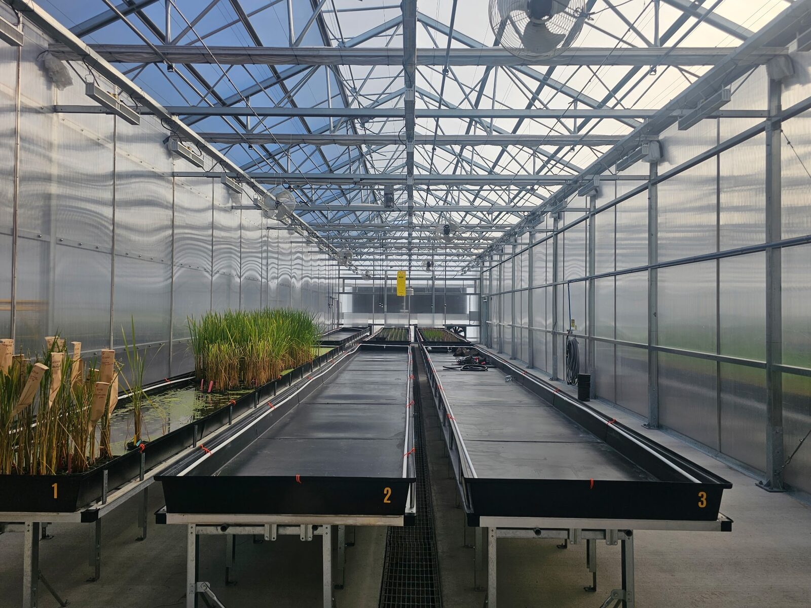 Rice Tec greenhouse electrical project photo 2